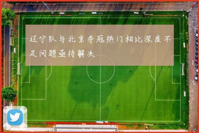 辽宁队与北京夺冠热门相比深度不足问题亟待解决