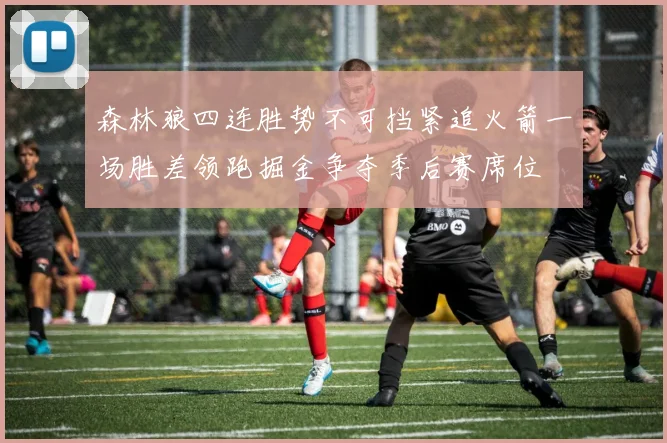 森林狼四连胜势不可挡紧追火箭一场胜差领跑掘金争夺季后赛席位