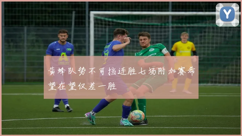黄蜂队势不可挡连胜七场附加赛希望在望仅差一胜