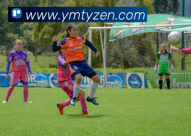 亚盟体育发展历程